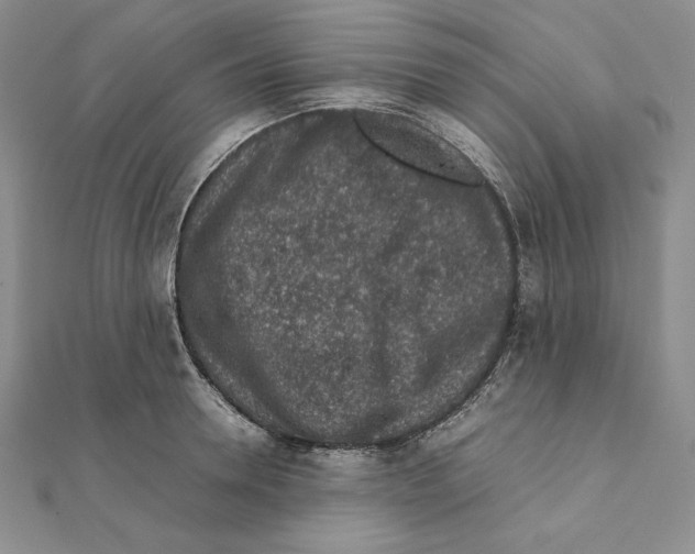 X0000111140946200907281109