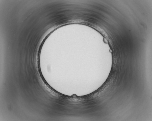 X0000111140947200907281109