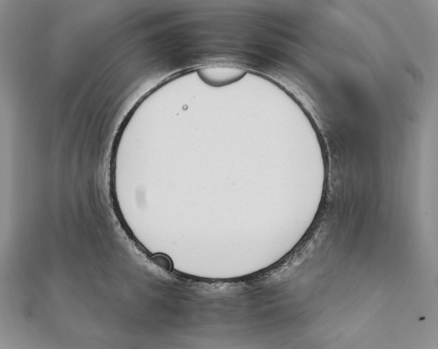 X0000111140949200907281109