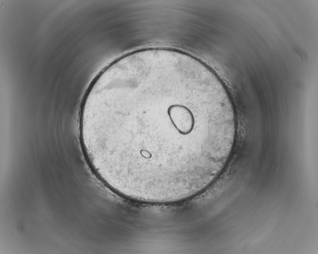 X0000111140950200907281109