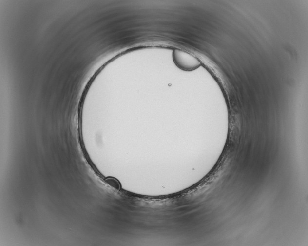 X0000111140951200907281109