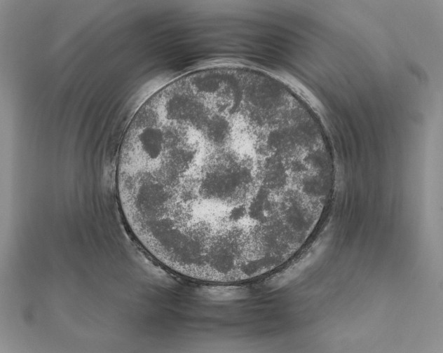 X0000111140953200907281109