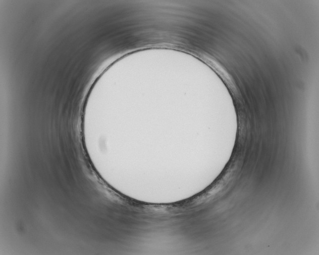 X0000111140956200907281109