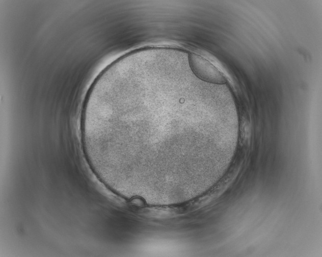 X0000111140959200907281109