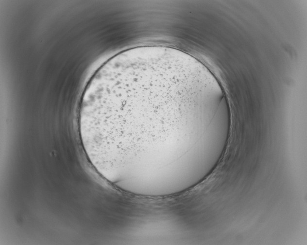 X0000111140960200907281109