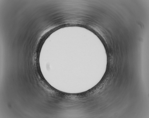 X0000111140971200907281109