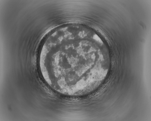 X0000111140975200907281109