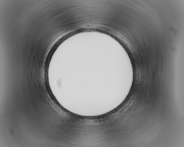 X0000111140976200907281109