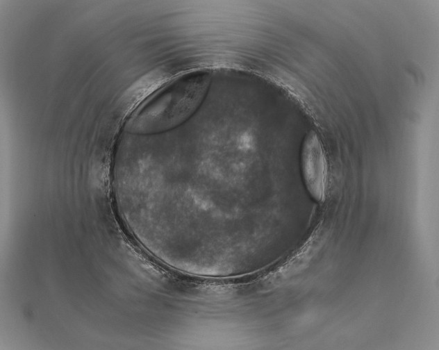 X0000111140977200907281109