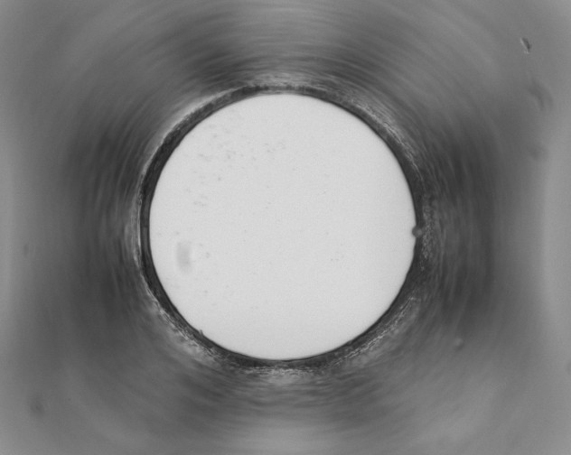 X0000111140984200907281109