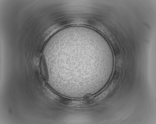 X0000111140985200907281109