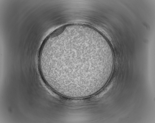 X0000111140989200907281108