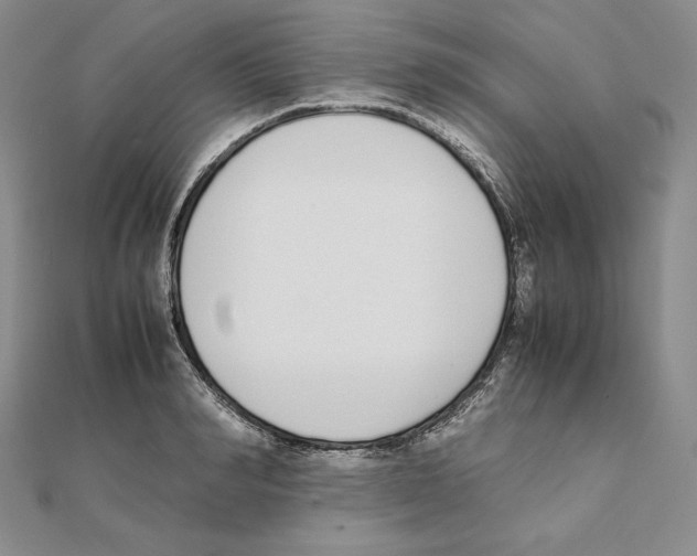 X0000111140990200907281108