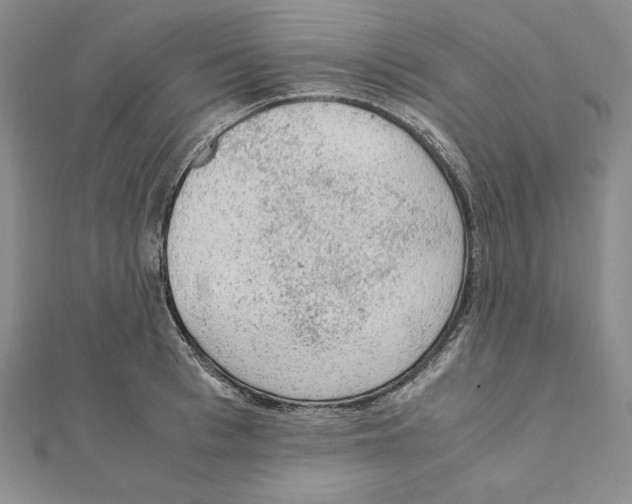 X0000111140993200907281108