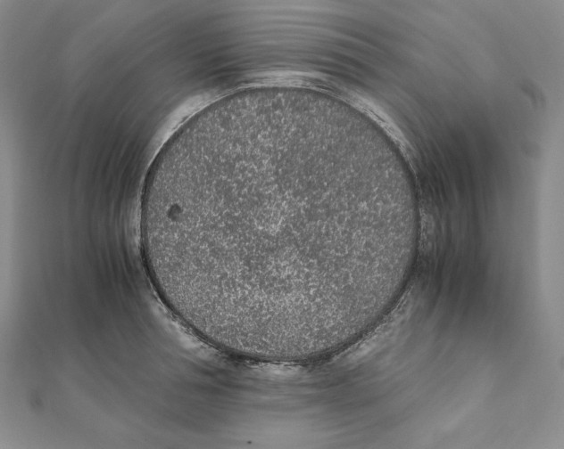 X0000111140994200907281108