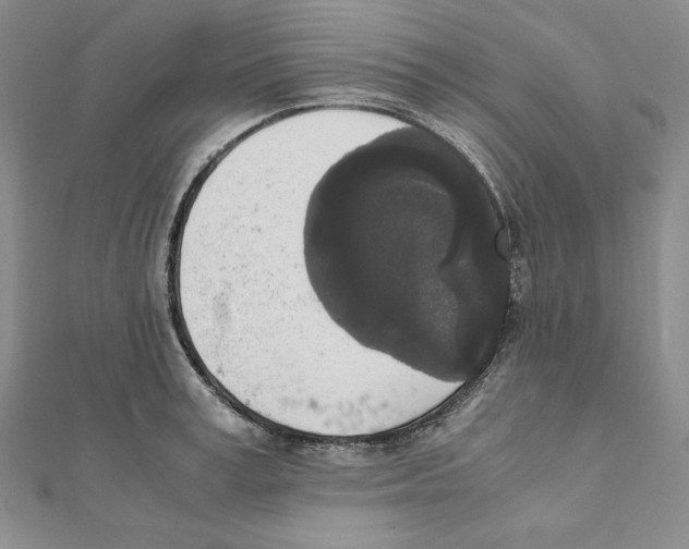 X0000111140995200907281108