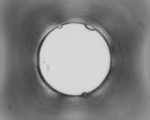 X0000111140999200907281108