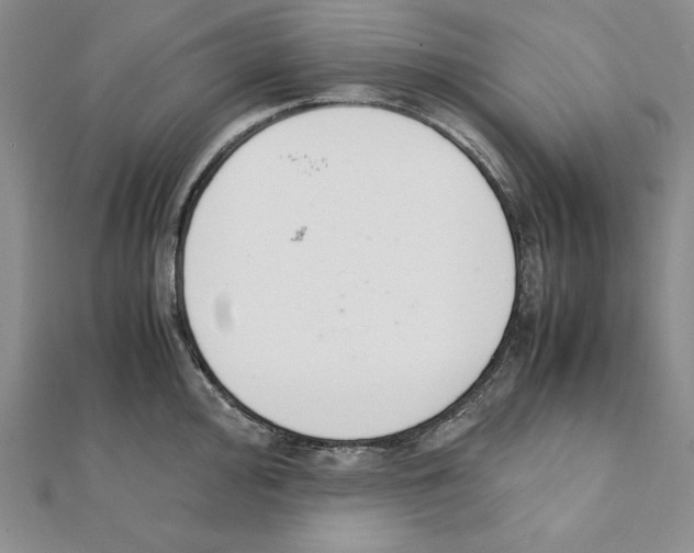 X0000111141000200907281108