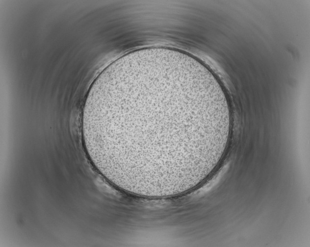 X0000111141001200907281108