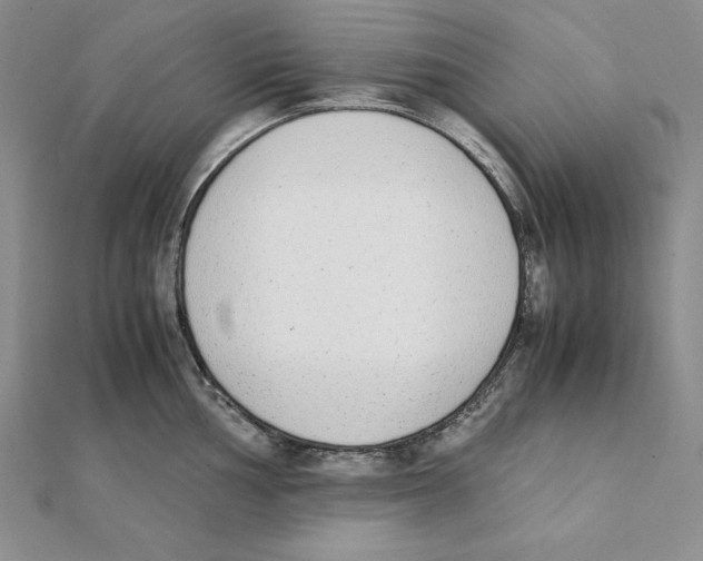 X0000111141002200907281108