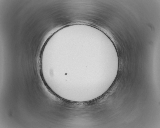 X0000111141003200907281108