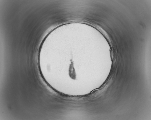 X0000111141005200907281108