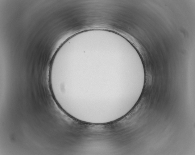 X0000111141006200907281108