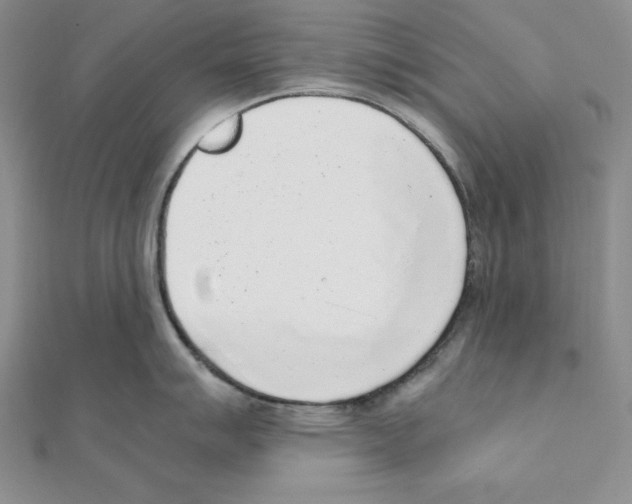 X0000111141007200907281108