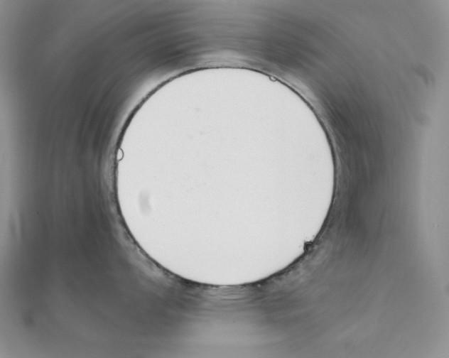 X0000111141008200907281108