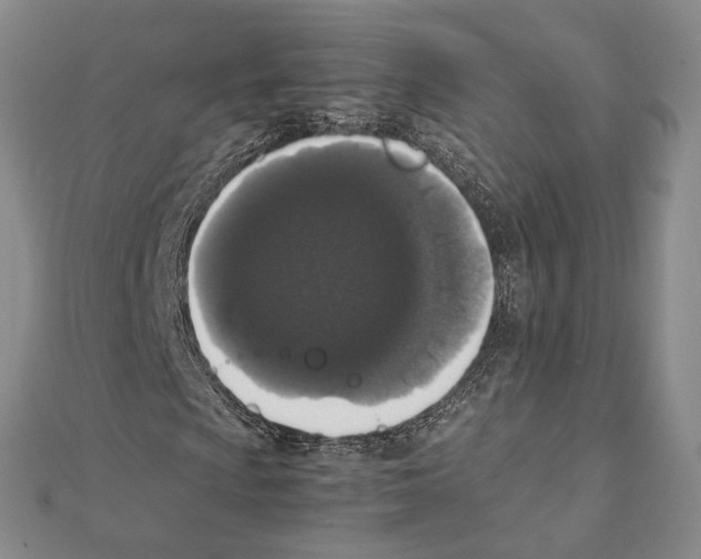 X0000111141009200907281108