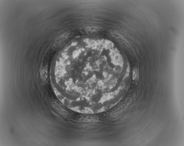 X0000111141011200907281108