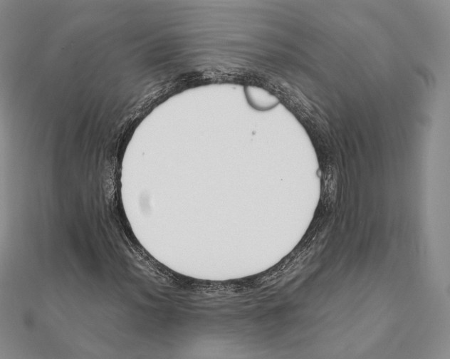 X0000111141012200907281108