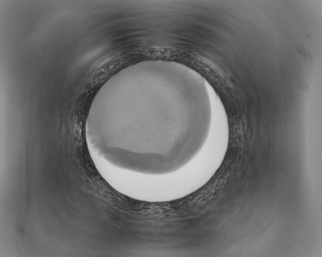 X0000111141013200907281108