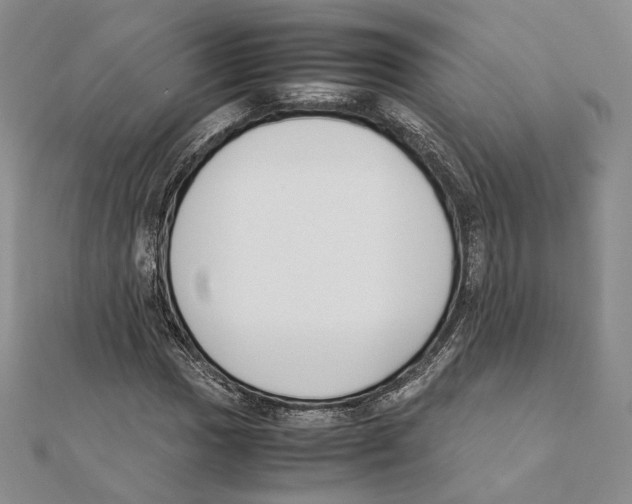 X0000111141017200907281108