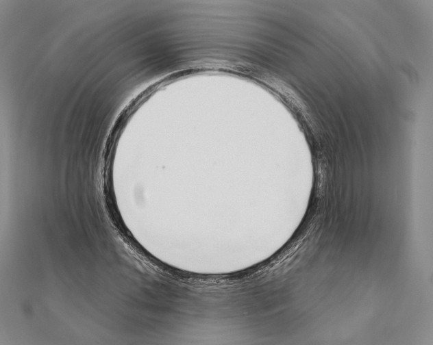 X0000111141020200907281108