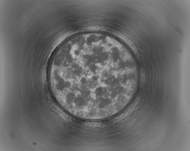 X0000111141023200907281108