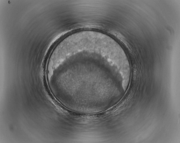 X0000111141024200907281108