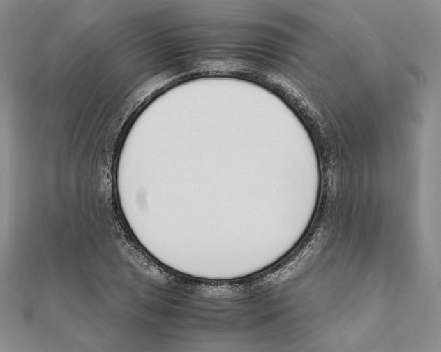 X0000111141025200907281108