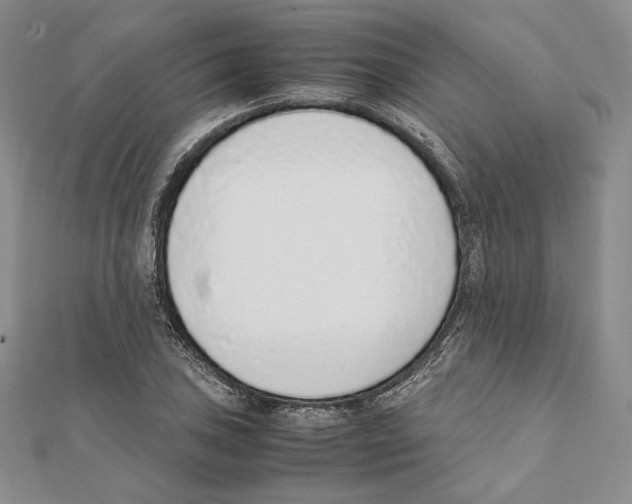 X0000111141027200907281108