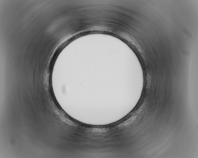 X0000111141029200907281108