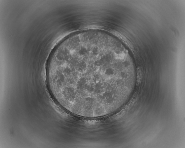 X0000111141031200907281108