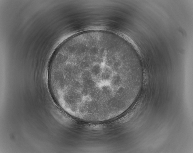 X0000111141035200907281108