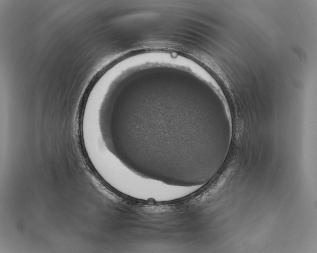 X0000111141037200907281108