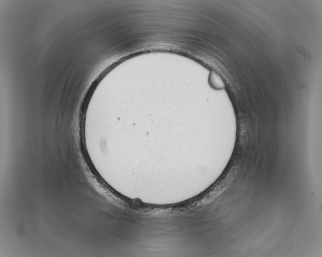 X0000111141038200907281108