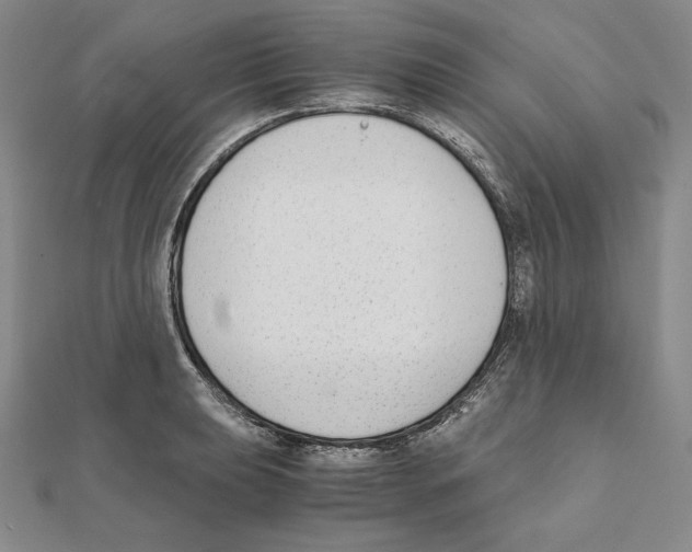 X0000111141039200907281108