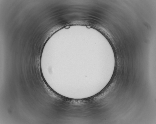 X0000111141041200907281108