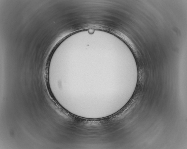 X0000111141043200907281108