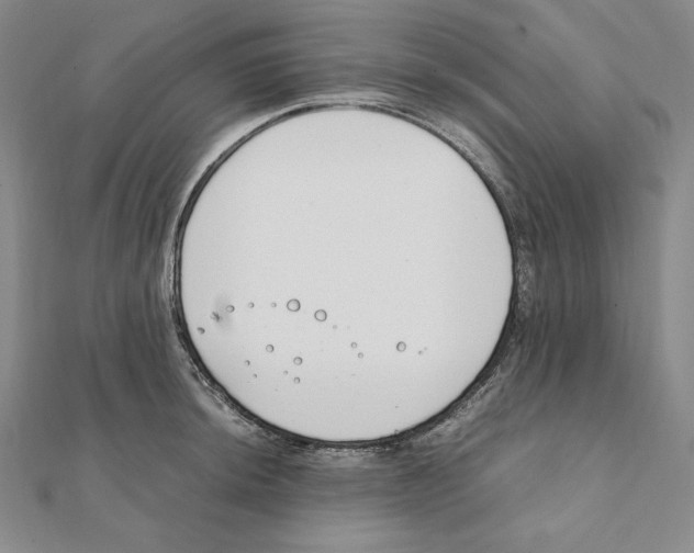 X0000111141044200907281108