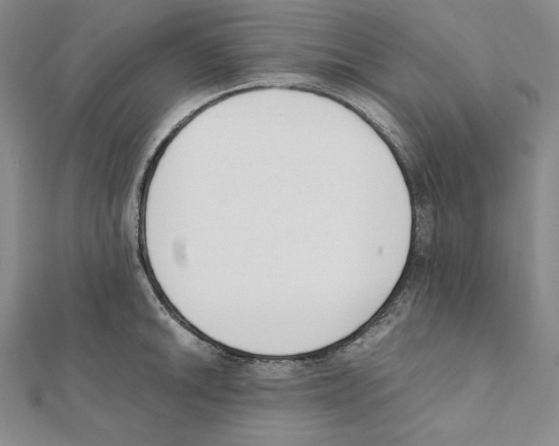 X0000111141046200907281108