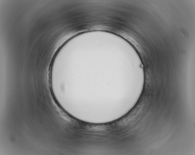 X0000111141047200907281108